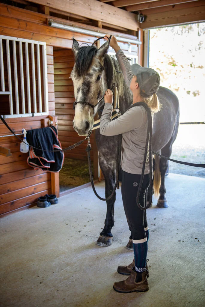 Horse and handler together inside the McBriar Farm barn
