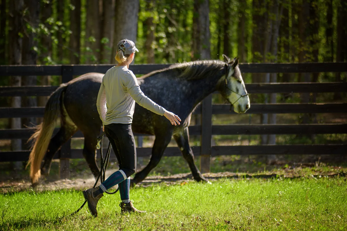 Groundwork with a horse at McBriar Farm